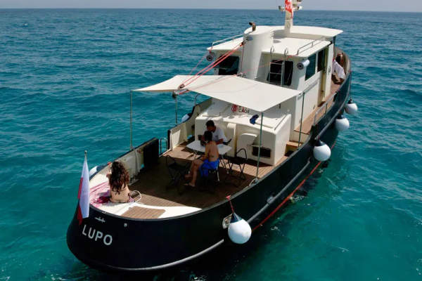 N°144 Tour Delfini & Aperitivo – Golfo Aranci